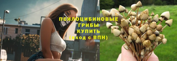 apvp Кодинск