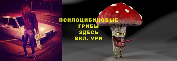 прущие грибы Киренск