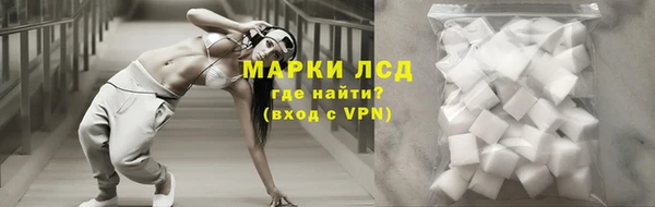 PSILOCYBIN Козловка