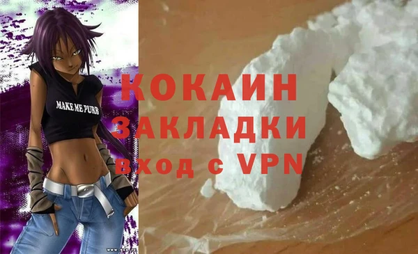 PSILOCYBIN Козловка