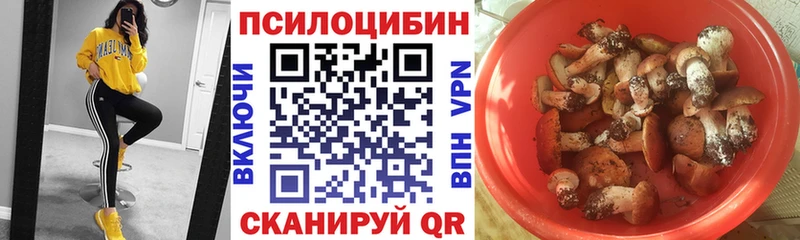 Псилоцибиновые грибы GOLDEN TEACHER  закладки  Кимовск 