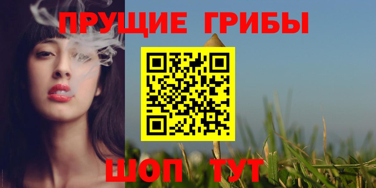 Галлюциногенные грибы Psilocybe Кимовск